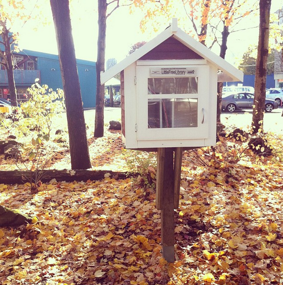 Little Free Library 8963